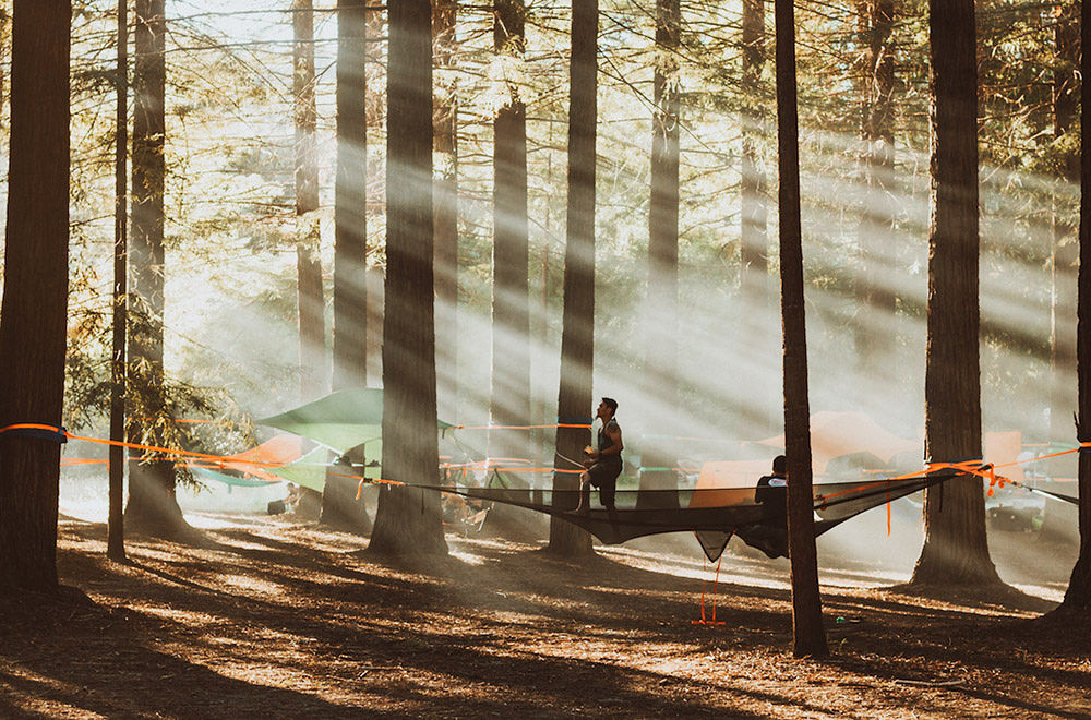 O nama - Tentsile